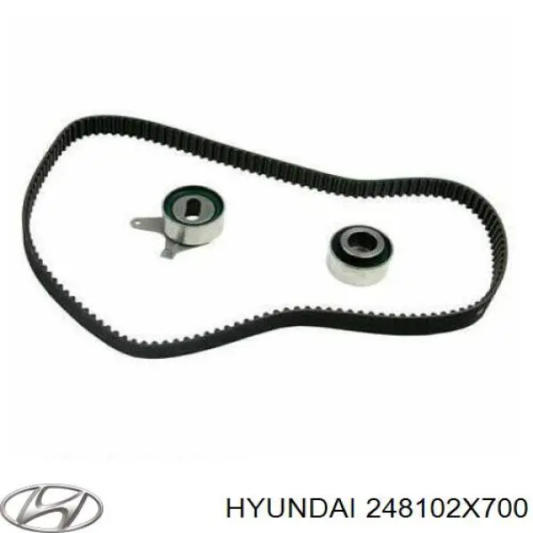 Ролик паразитний ГРМ 248102X700 Hyundai/Kia