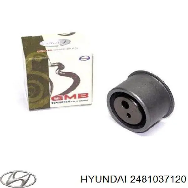 Купити 2481037120 Hyundai/Kia Ролик паразитний ГРМ