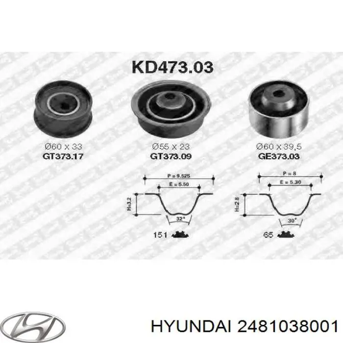 Ролик ременя ГРМ, паразитний Hyundai/Kia 2481038001 ціна, від 10.31 USD