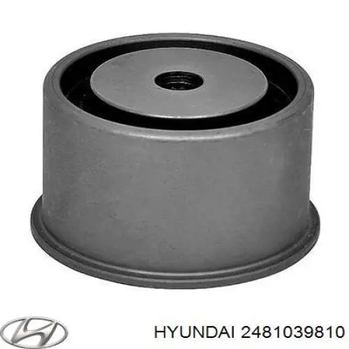 2481039810 Hyundai/Kia ролик ременя грм, паразитний