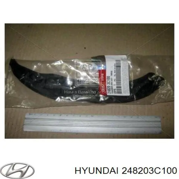 248203C100 Hyundai/Kia башмак натягувача ланцюга грм