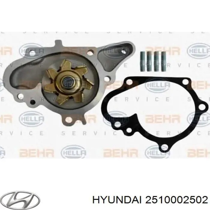 Помпа охолодження Hyundai/Kia 2510002502 ціна, від 21.52 USD