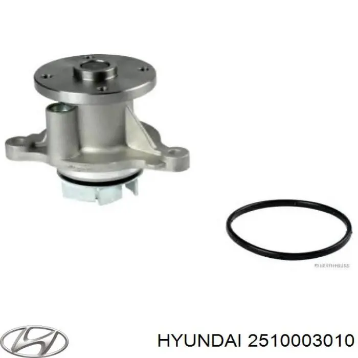 2510003010 Hyundai/Kia помпа водяна, (насос охолодження)