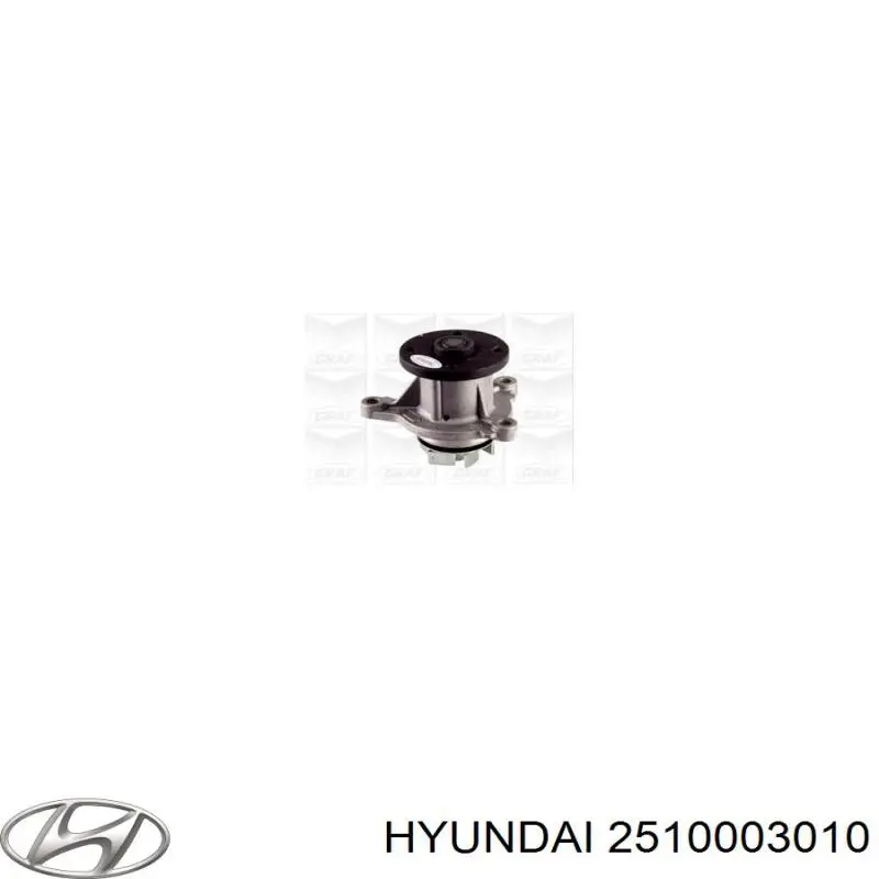 Помпа 2510003010 Hyundai/Kia