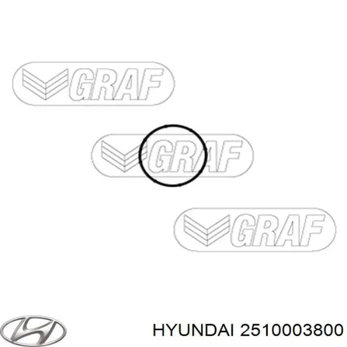 Помпа водяна, (насос) охолодження 2510003800 Hyundai/Kia