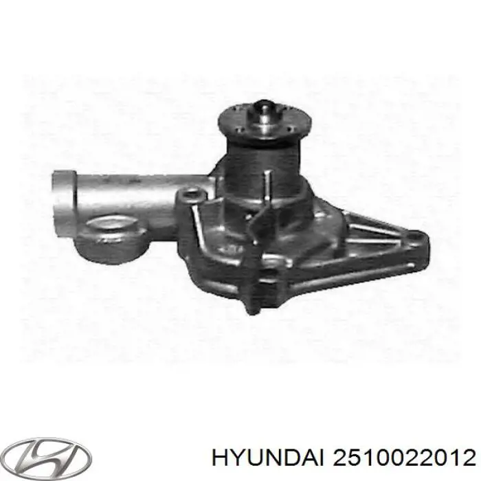 2510022012 Hyundai/Kia помпа водяна, (насос охолодження)