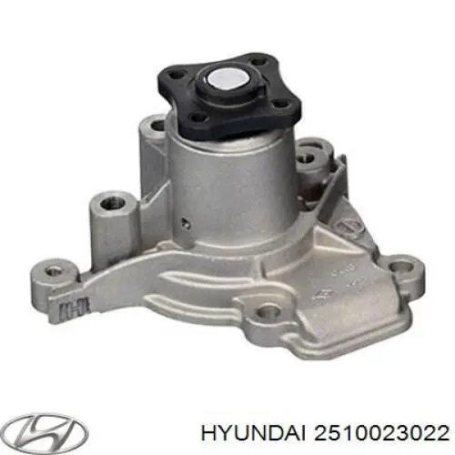 Водяний насос Hyundai/Kia 2510023022