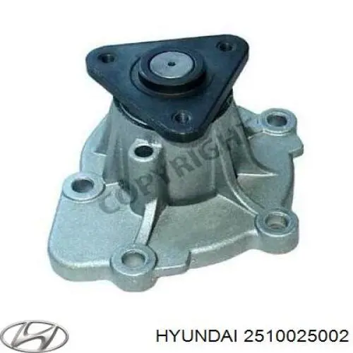 Помпа водяна (насос) охолодження, в зборі з корпусом 2510025002 Hyundai/Kia