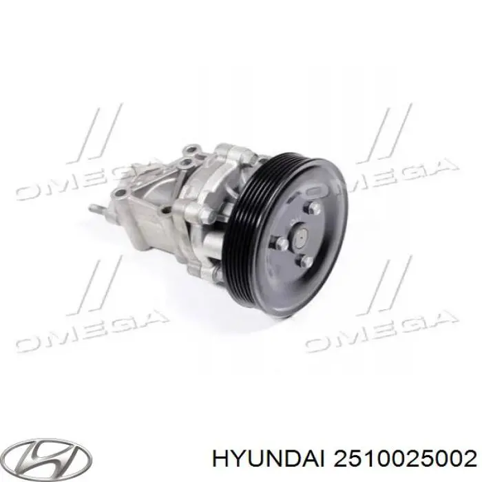 2510025002 Hyundai/Kia Помпа водяна, (насос) охолодження, в зборі з корпусом
