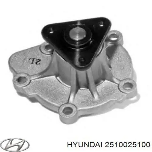 Помпа водяна (насос) охолодження, в зборі з корпусом 2510025100 Hyundai/Kia