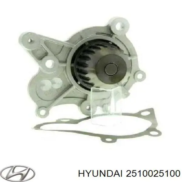 Помпа водяна, (насос) охолодження, в зборі з корпусом Hyundai/Kia 2510025100 ціна, від 29.83 USD
