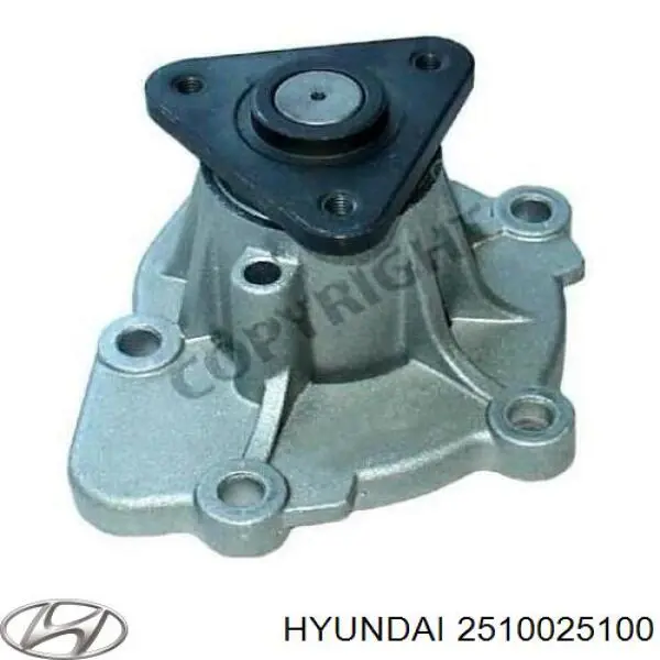 Помпа водяна, (насос) охолодження, в зборі з корпусом Hyundai/Kia 2510025100 ціна, від 29.83 USD