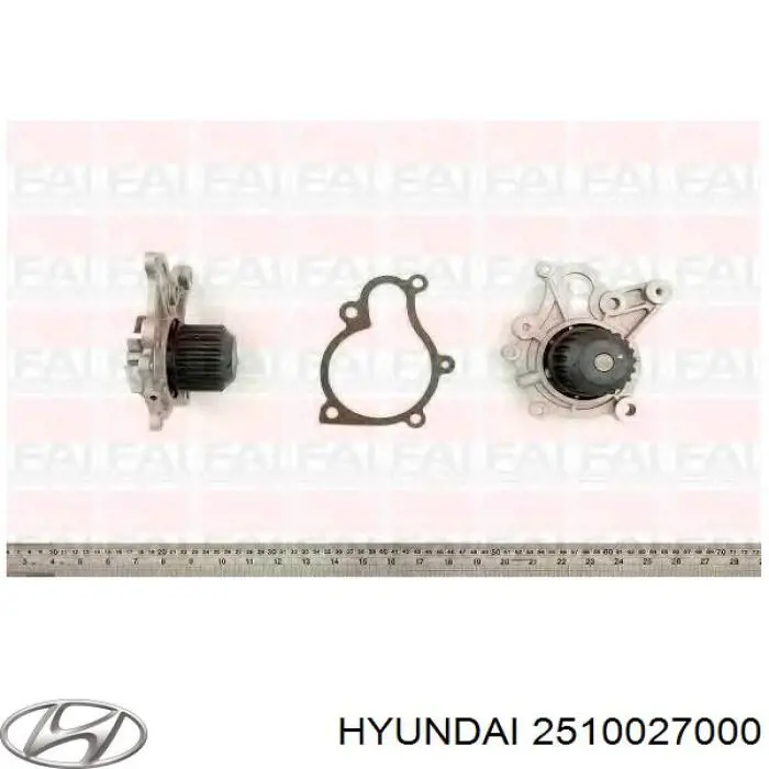 Водяний насос Hyundai/Kia 2510027000