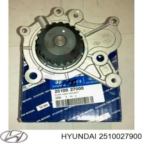 Помпа 2510027900 Hyundai/Kia