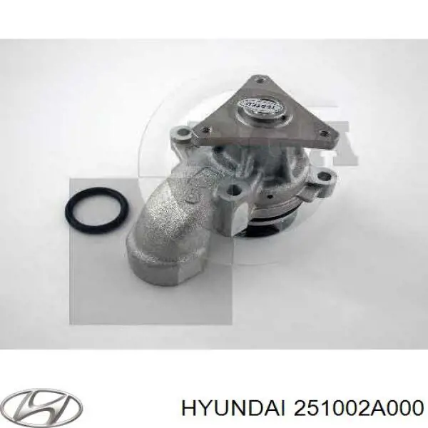 Купити 251002A000 Hyundai/Kia Насос охолоджуючої рідини