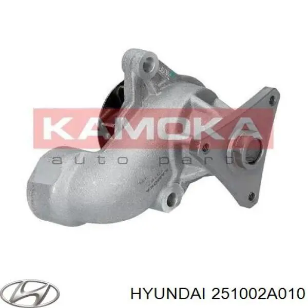 Купити 251002A010 Hyundai/Kia Насос охолоджуючої рідини