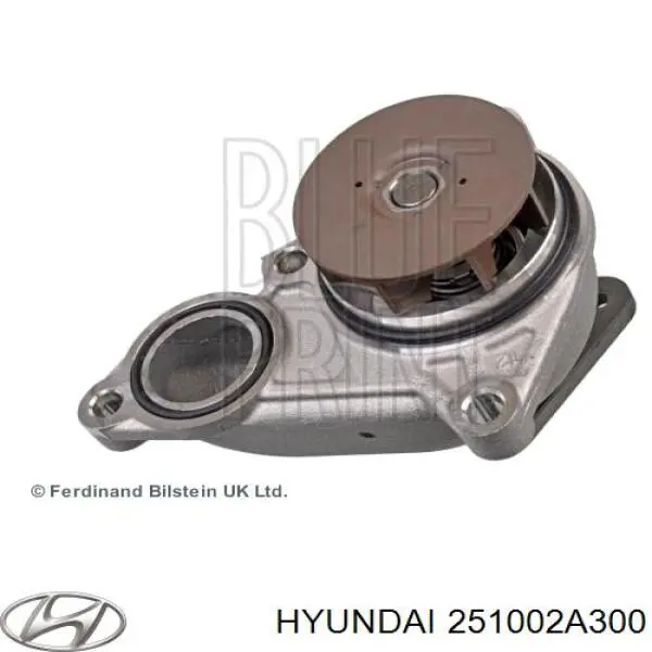 Купити 251002A300 Hyundai/Kia Насос охолоджуючої рідини