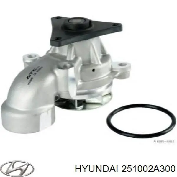Помпа охолодження Hyundai/Kia 251002A300 ціна, від 43.23 USD