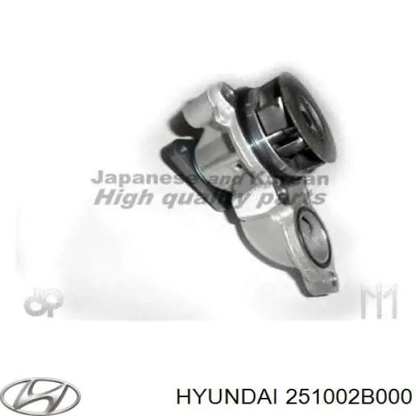 Купити 251002B000 Hyundai/Kia Насос охолоджуючої рідини