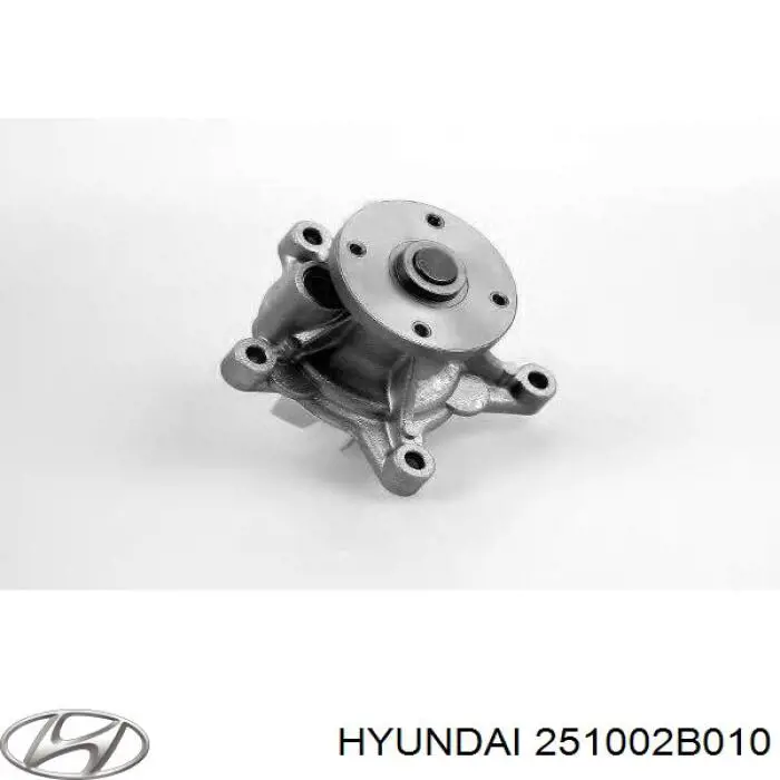 Купити 251002B010 Hyundai/Kia Насос охолоджуючої рідини