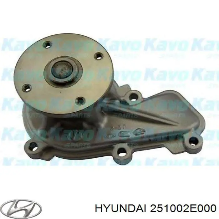 Купити 251002E000 Hyundai/Kia Насос охолоджуючої рідини