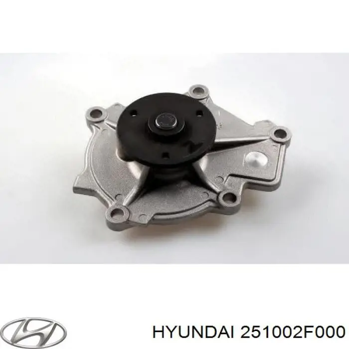 Купити 251002F000 Hyundai/Kia Насос охолоджуючої рідини