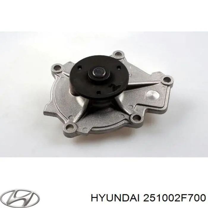 Водяний насос Hyundai/Kia 251002F700