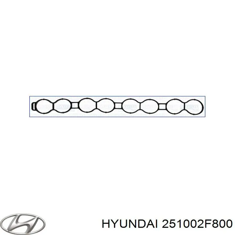251002F800 Hyundai/Kia помпа водяна, (насос охолодження)
