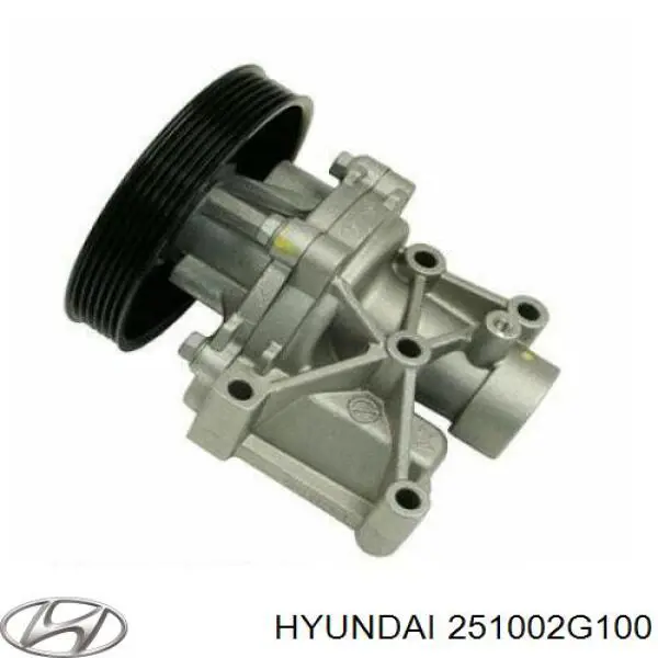251002G100 Hyundai/Kia помпа водяна, (насос охолодження)
