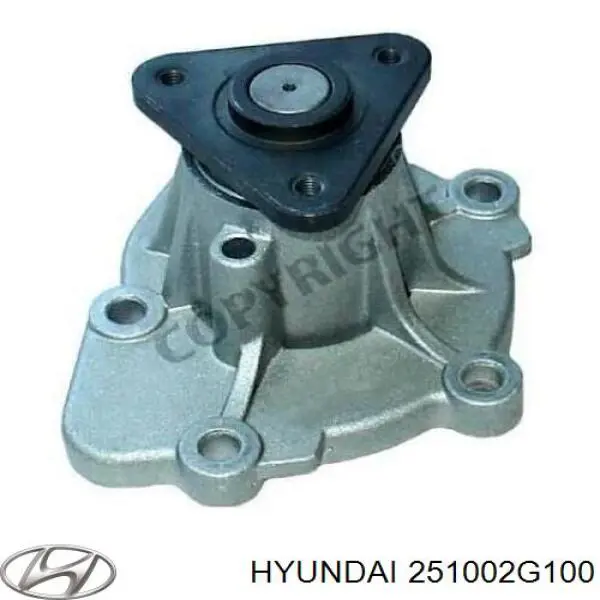 Купити 251002G100 Hyundai/Kia Насос охолоджуючої рідини