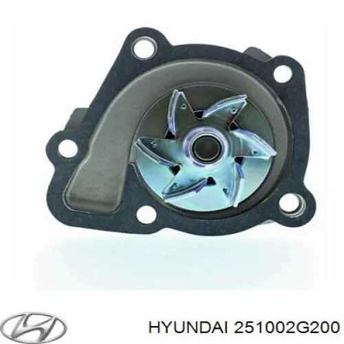 Помпа 251002G200 Hyundai/Kia