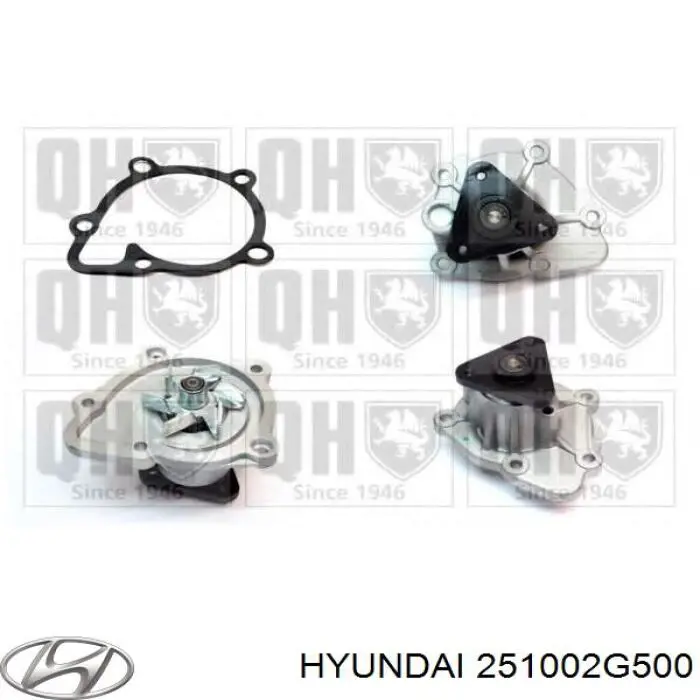 Помпа водяна (насос) охолодження, в зборі з корпусом 251002G500 Hyundai/Kia