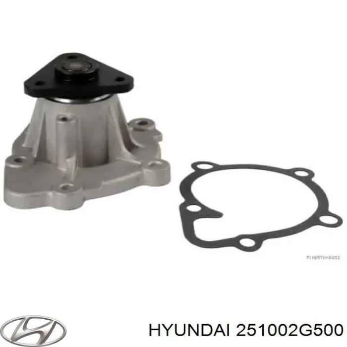 Купити 251002G500 Hyundai/Kia Помпа водяна (насос) охолодження, в зборі з корпусом