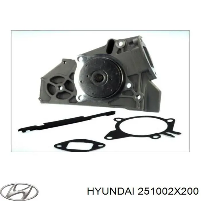 Помпа 251002X200 Hyundai/Kia