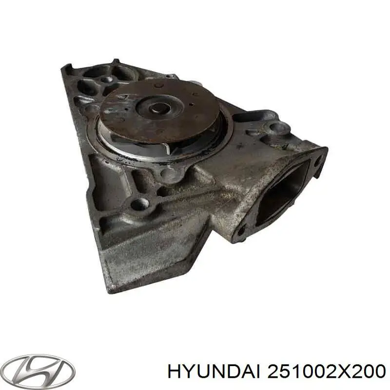 Водяний насос Hyundai/Kia 251002X200