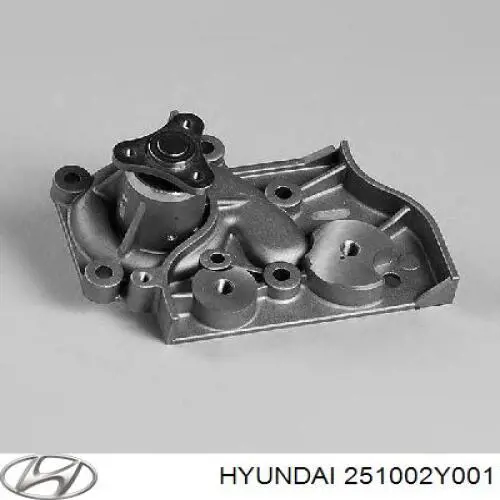 251002Y001 Hyundai/Kia помпа водяна, (насос охолодження)