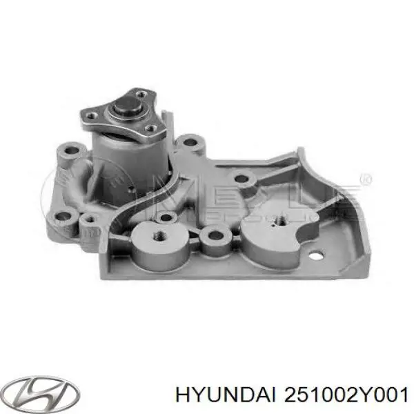 Купити 251002Y001 Hyundai/Kia Насос охолоджуючої рідини