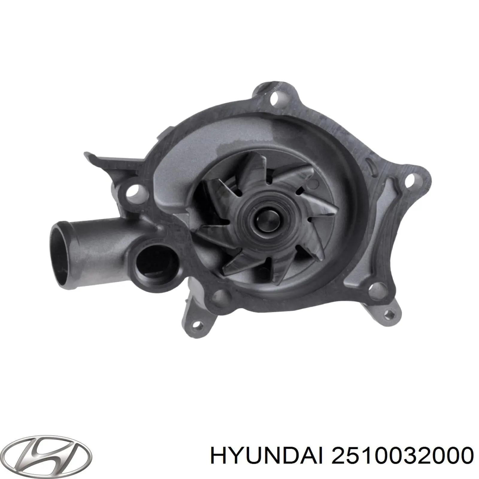 Помпа 2510032000 Hyundai/Kia