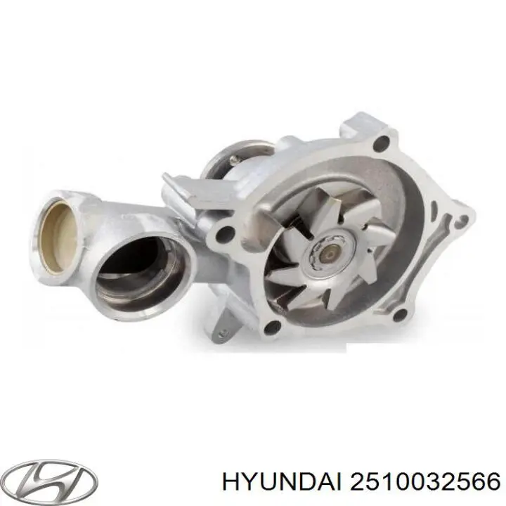 Водяний насос Hyundai/Kia 2510032566