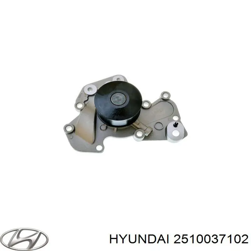 Помпа охолодження Hyundai/Kia 2510037102 ціна, від 27.69 USD
