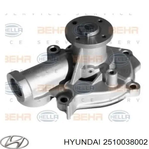 Водяний насос Hyundai/Kia 2510038002