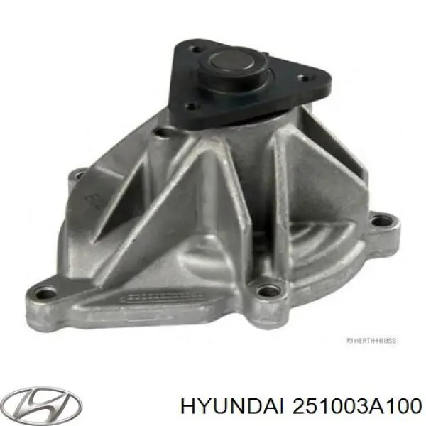 251003A100 Hyundai/Kia помпа водяна, (насос охолодження)