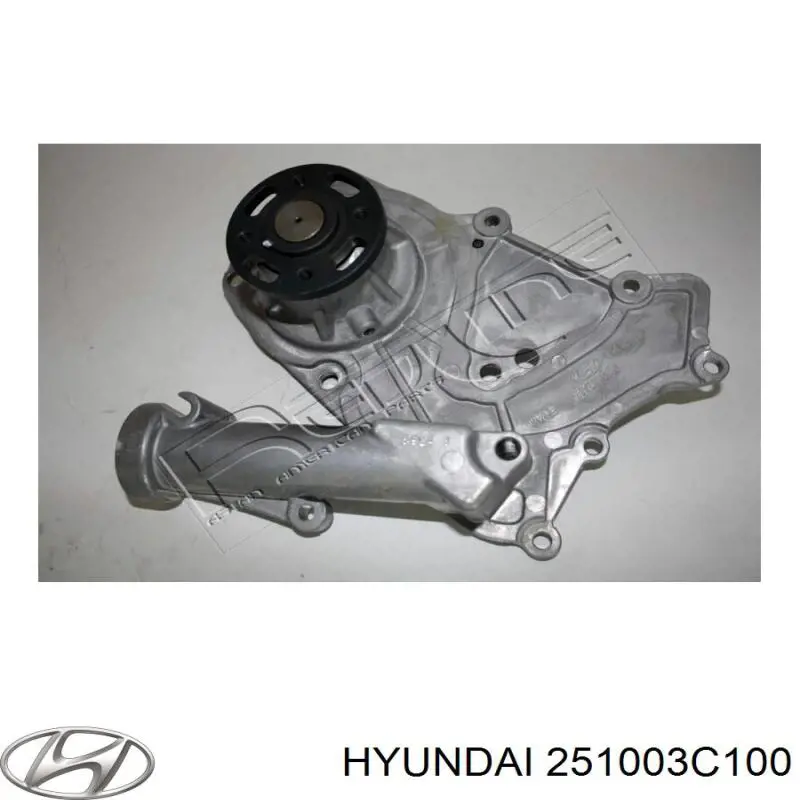 Водяний насос Hyundai/Kia 251003C100