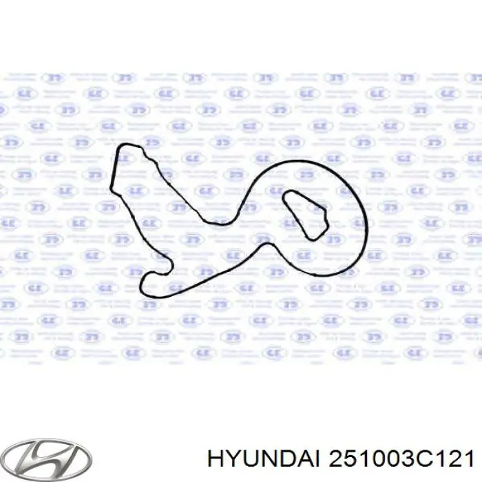 251003C121 Hyundai/Kia помпа водяна, (насос охолодження)