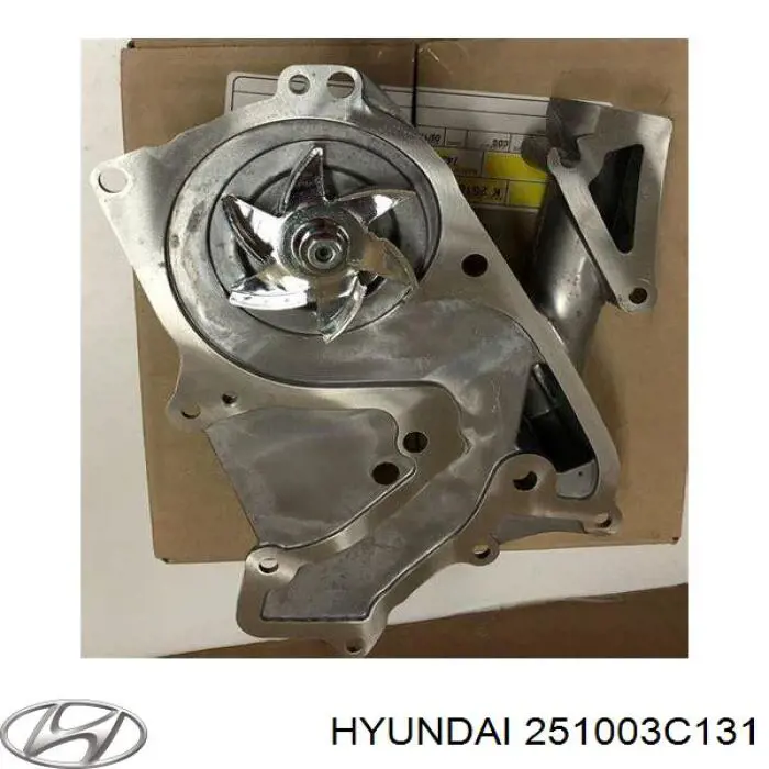 Водяний насос Hyundai/Kia 251003C131