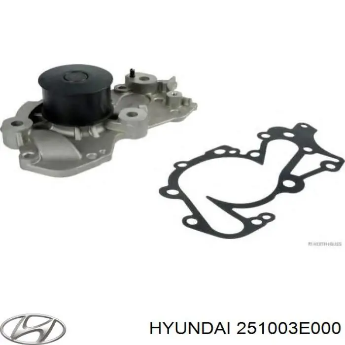 Помпа 251003E000 Hyundai/Kia
