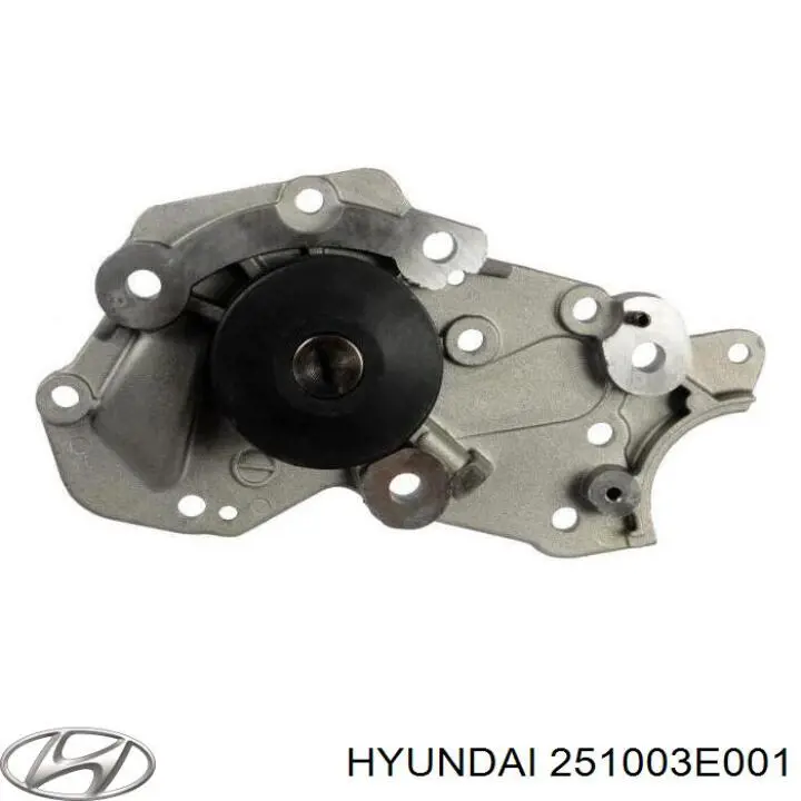 Водяний насос Hyundai/Kia 251003E001