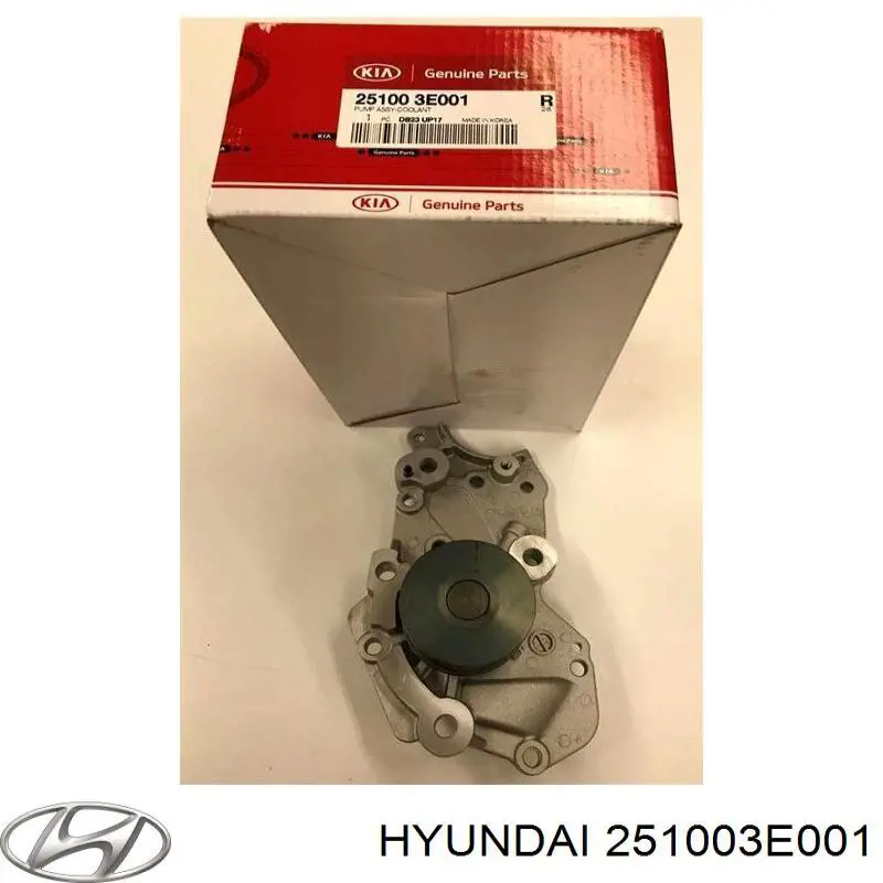 Купити 251003E001 Hyundai/Kia Насос охолоджуючої рідини