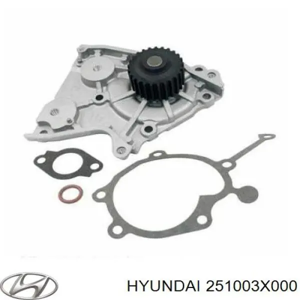 Помпа 251003X000 Hyundai/Kia