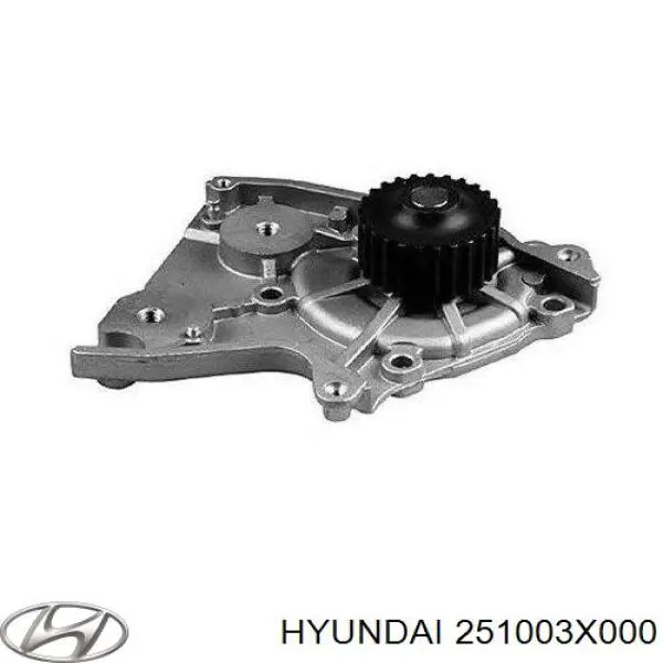 Водяний насос Hyundai/Kia 251003X000